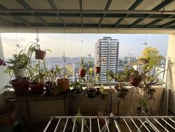 Blk 414 Garden Hill (Bedok), HDB 5 Rooms #598277431